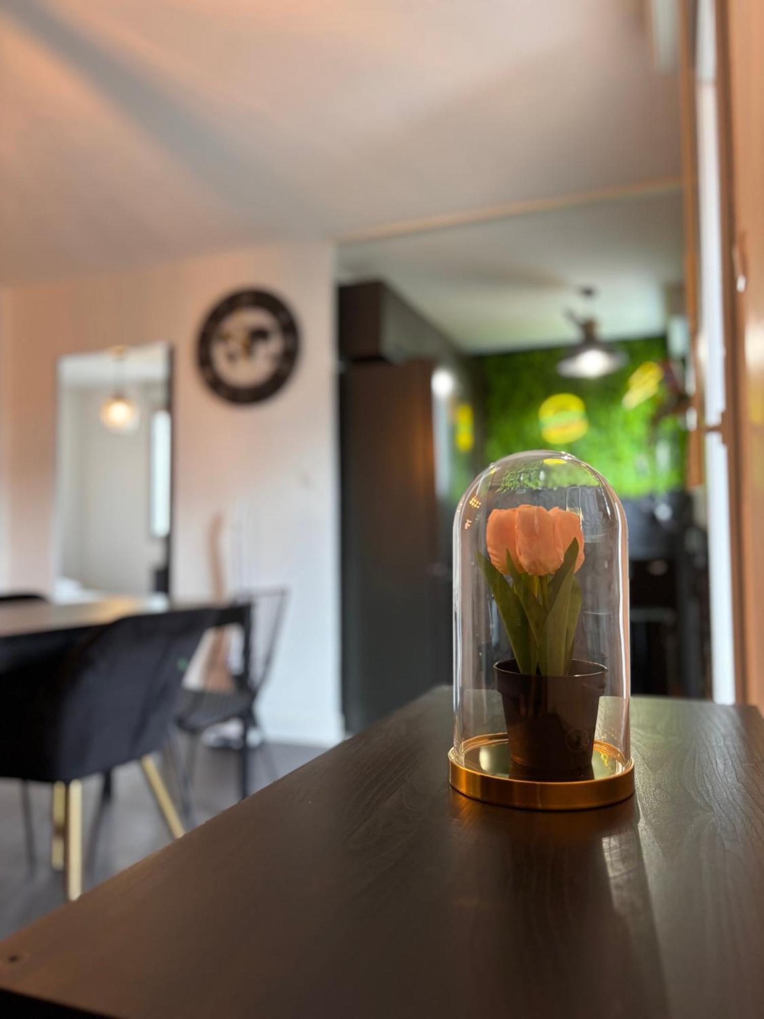 Charmant Appartement Tolosa Esterno foto
